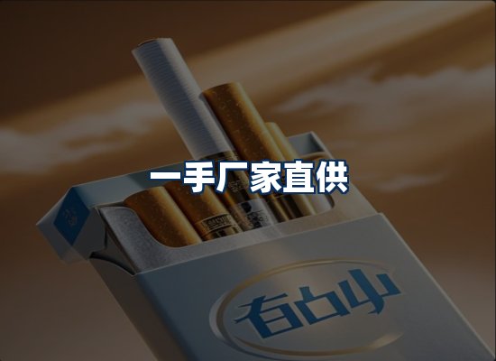 专业团队办公环境